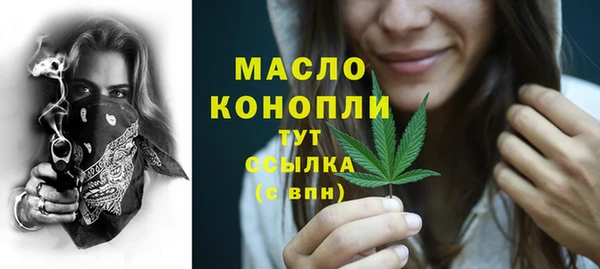 шишки Медвежьегорск