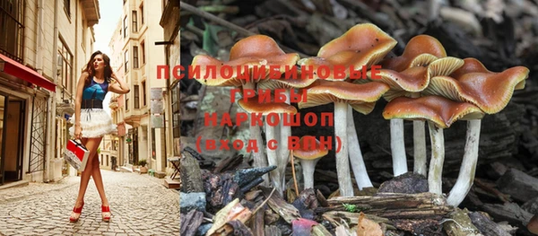 каннабис Медногорск