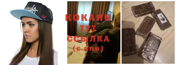 шишки Медвежьегорск