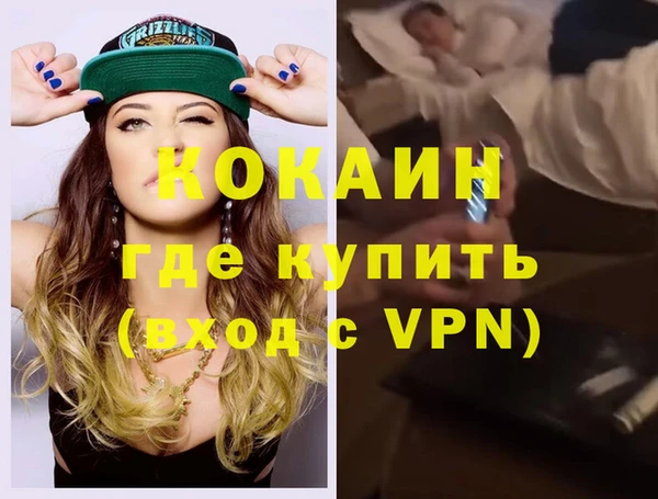 шишки Медвежьегорск