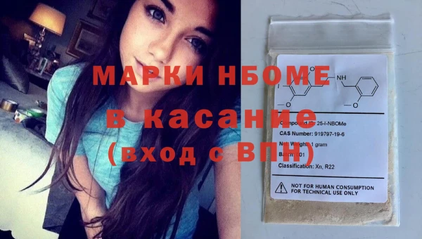 шишки Медвежьегорск