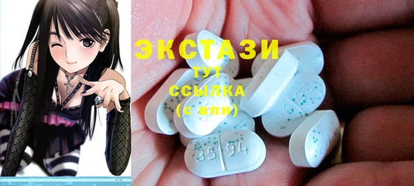 шишки Медвежьегорск